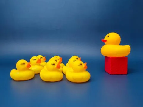 Group of toy ducks with leadder Stock Photos