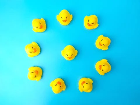Group of toy ducks with leadder Stock Photos