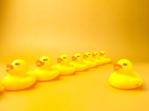 Group of toy ducks with leadder Stock Photos