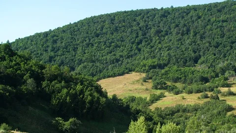 Group trail run Video stock 83467460