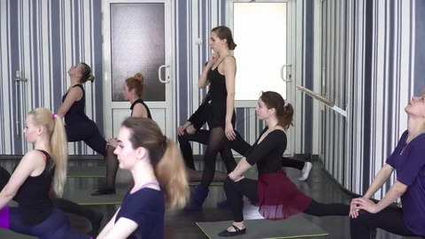 Group of trainees making the stretching exercises during the lesson Stock Footage 75532319