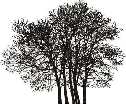 Group tree Stock Illustration