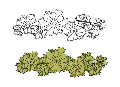 Group trees architectural top view. Bushes and trees with green leaves. Hand 스톡 일러스트