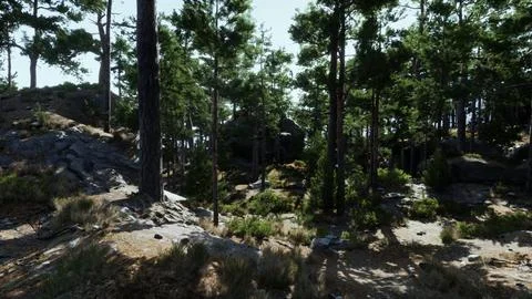 A group of trees that are on a hill Illustrazione stock