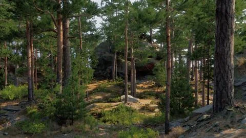 A group of trees that are in the woods Stock Illustration