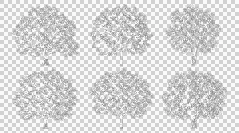 Group of trees in elevation view isolated on transparent background for desig Stock Illustration