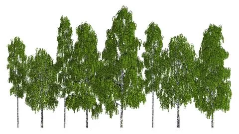 Group of trees isolated on white 3d illustration 库存插图