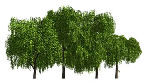 Group of trees isolated on white 3d illustration Illustrazione stock