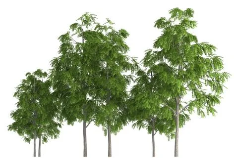 Group of trees isolated on white 3d illustration Stock-Illustration