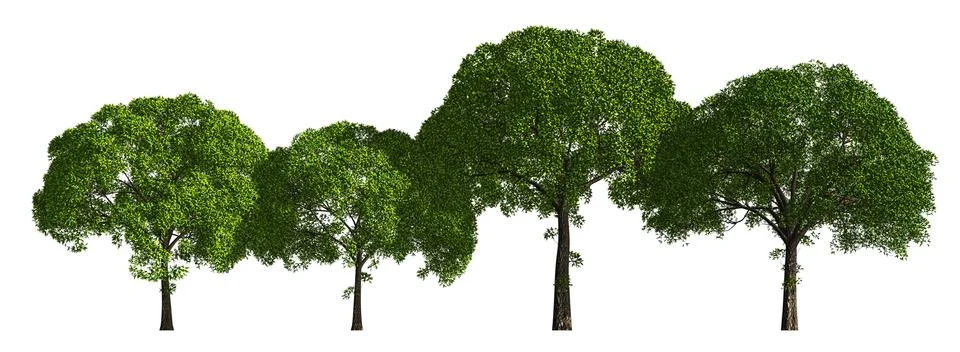 Group of trees isolated on white 3d illustration Stock-Illustration
