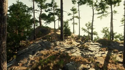 A group of trees sitting on top of a rocky hillside Stock Illustration
