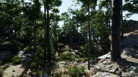 A group of trees sitting on top of a rocky hillside Stock Illustration