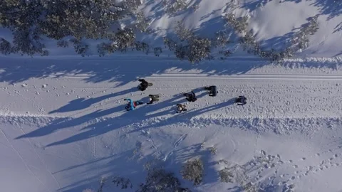 Group trekking across pristine winter landscape with snowshoes in Austria Stock Footage 313367793