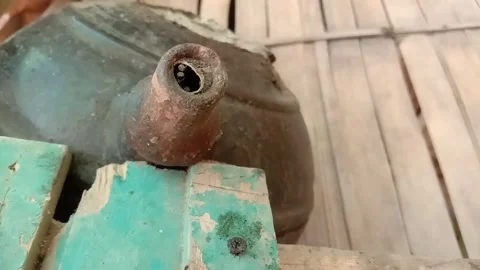 A group of Trigona bees Stock Footage 287092138