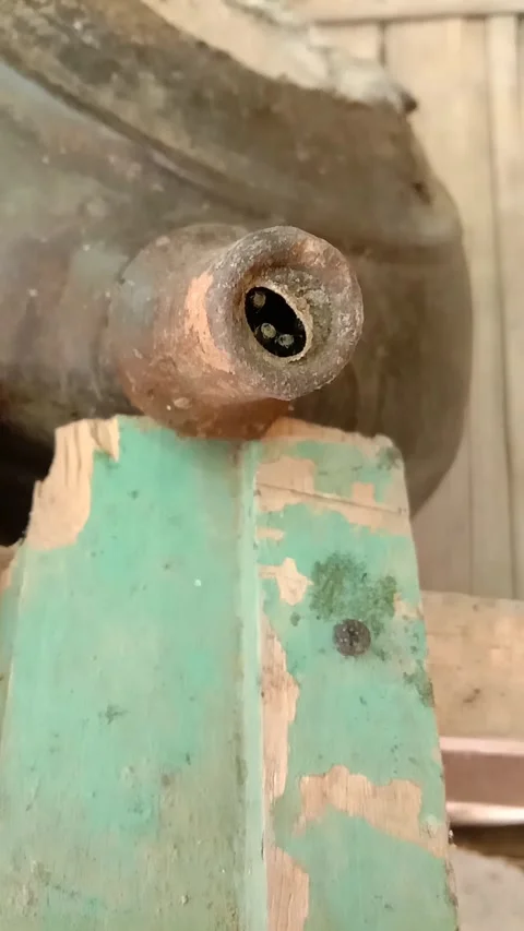 A group of Trigona bees Stock Footage 287094588