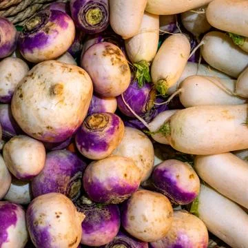 Group of turnips Stock Photos