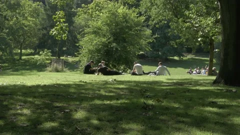 Group of University Students chilling in the grass, english picnic.Sunny Stock Footage 135724068