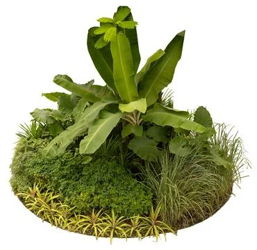 A group of various plants arranged in a circular shape is shown on a clear ba Stock Photos