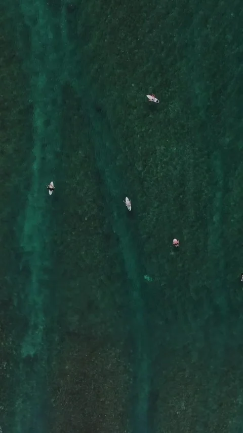 Group-vert-2024.07.27 No Name drone-DJI 0295 V1-0030 Stock Footage 295782276