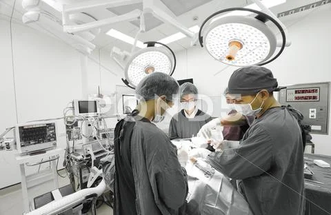 Group of veterinarian surgery in operation room Stock Photos
