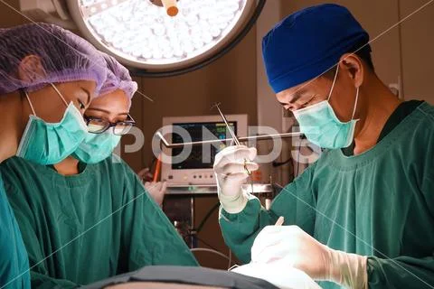 Group of veterinarian surgery Stock Photos