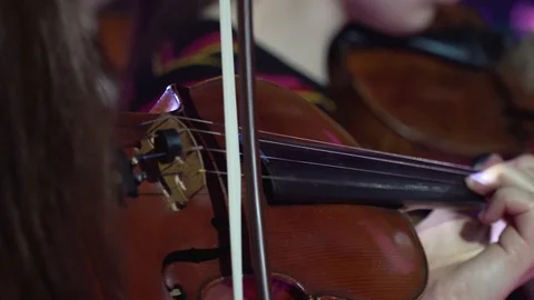 Group of violinists at a concert Stock Footage 119375351