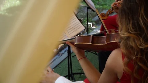 A group of violinists performs a piece. Stock Footage 98546466