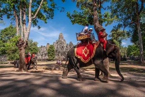 A group of visitors using elephants to go around the Angkor Wat Temple Complex Stock Photos