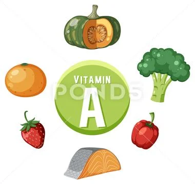 Group of Vitamin A-Rich Foods in Vector Illustration Illustration ...