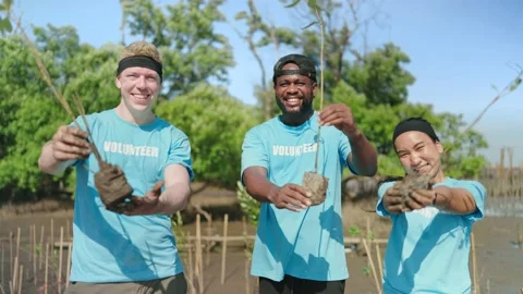 Group of volunteer smiling look at camera helpers planting trees Vídeo Stock 204834769