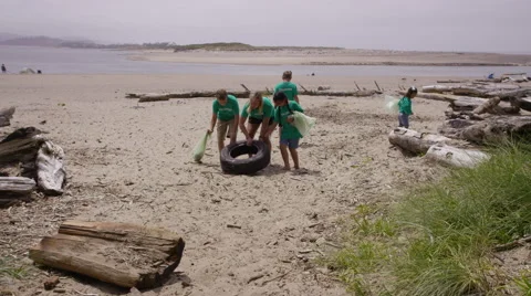 Group of volunteers cleaning up beach Stock Footage