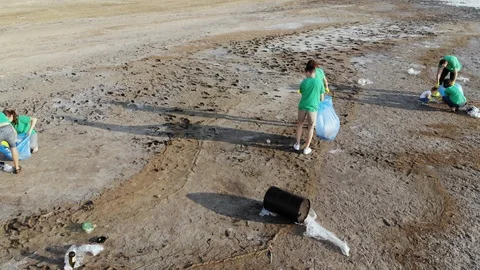 A group of volunteers colect garbage Stock-Footage 125284344