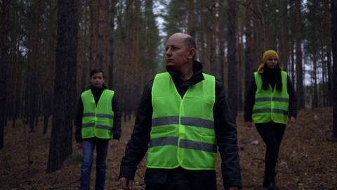 Group of volunteers in green vests went in search of missing persons in a pine Stock Footage