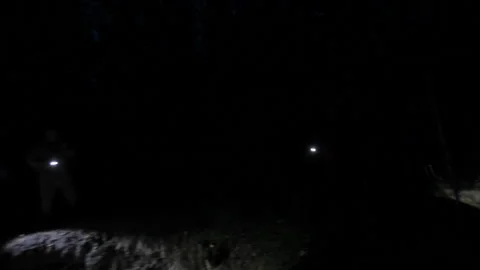 A group of volunteers looking for a missing person in an abandoned ravine Stock Footage 166666033