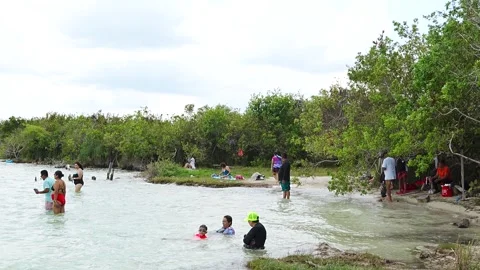 Group wades in shallow lagoon water Stock Footage 345619620
