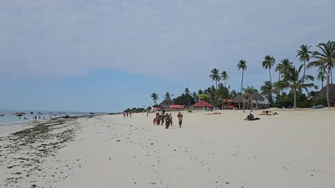 Group Walking Along Empty Beach Toward Resort Palms, Nungwi, Zanzibar, Tanzania Stock Footage 313906969