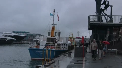 Group walking along the quay in the rain Stock Footage 7638906