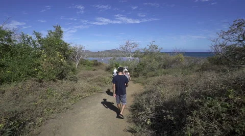 Group Walking Through Galapagos Stock Footage 58354359