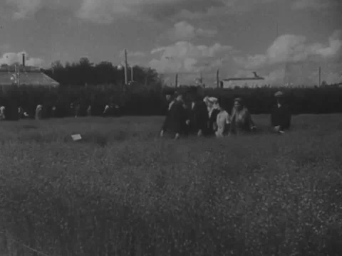 Group walks through flax field Video stock 229010894