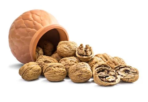 Group of walnut Stock Photos
