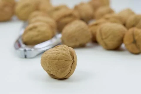 Group of walnuts and nutcracker on white background Foto stock