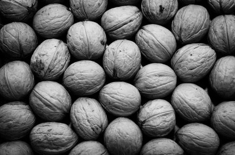 Group of walnuts as background Stock Photos