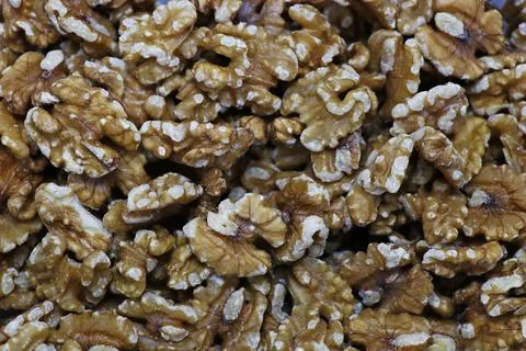 Group of Walnuts in close up .Walnuts Help Lower Cholesterol. Good grains eat Stock Photos
