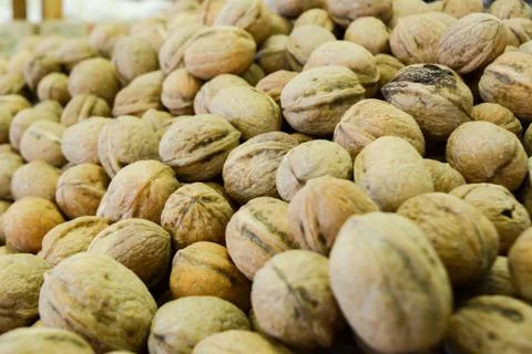 A group of walnuts Фото