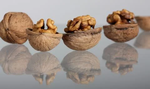 Group of walnuts with reflection Stock Photos