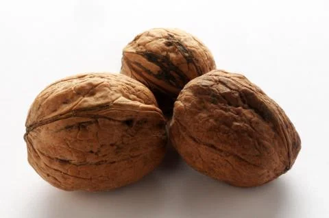 Group of walnuts on the white background Stock Photos