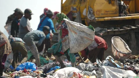 Group Of Waste Pickers Filling Sacks With Recyclables At Delhi Landfill Stock Footage 248056400