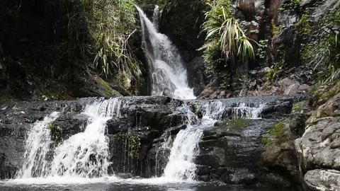 Group of waterfalls in rainforest Stock Footage 77491809
