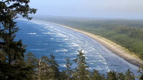 Group of waves coming ashore on beach with large trees Stock Footage 10747023
