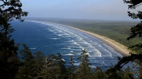 Group of waves coming ashore on beach with dark trees Stock Footage 10747157